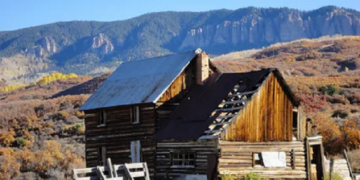 Small Business Opportunities in Colorado