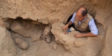 “They have been lying since autumn”: a hike in the mountains led to a terrible find