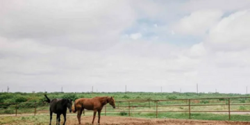 Bloomberg bought the ranch a month after dropping out of the presidential race