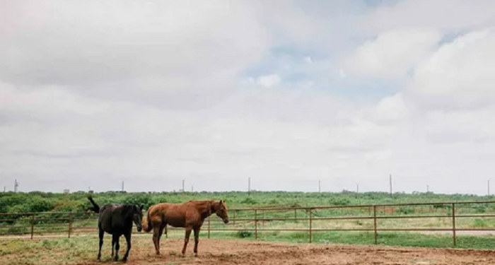 Bloomberg bought the ranch a month after dropping out of the presidential race