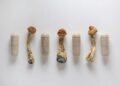 The value of mushrooms for health: microdosing with medicinal mushrooms