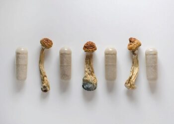 The value of mushrooms for health: microdosing with medicinal mushrooms