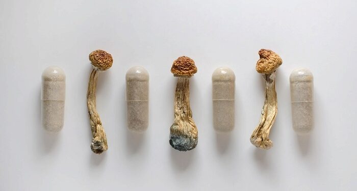The value of mushrooms for health: microdosing with medicinal mushrooms
