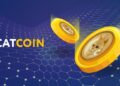 Decoding CATCOIN’s price behavior: insights for MEXC traders