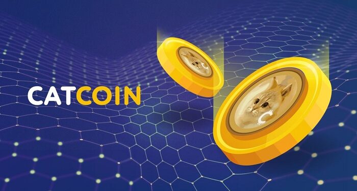 Decoding CATCOIN’s price behavior: insights for MEXC traders