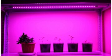 Фітосвітильники: ефективний спосіб росту овочевої розсади навесні