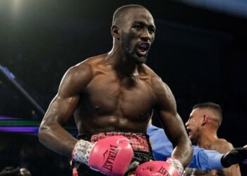 Hannibal Boxing: a deep dive into the world of boxing