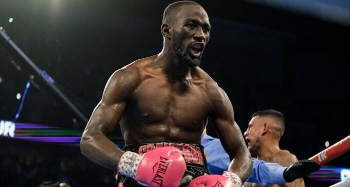 Hannibal Boxing: a deep dive into the world of boxing