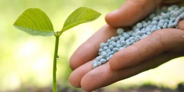 Wholesale chemical products and fertilizers