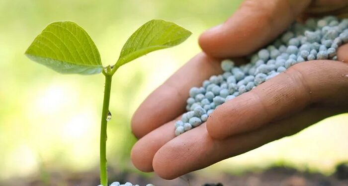 Wholesale chemical products and fertilizers