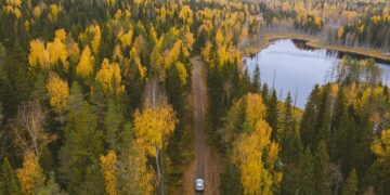 From stress to serenity: how the right scent can change your drive