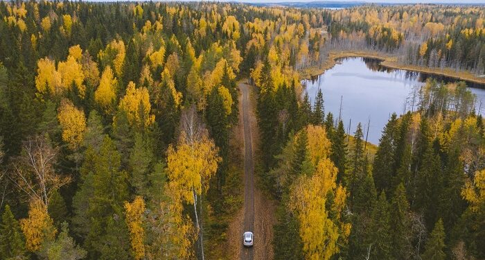 From stress to serenity: how the right scent can change your drive